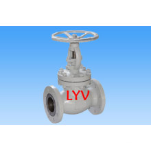 Stainless Steel Globe Valve with Bb OS&Y
